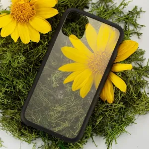 Pela Clear-skal för iPhone 11 Pro med transparent baksida och svart kant, visat på mossa med gula blommor