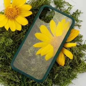 Genomskinligt Pela-skal för iPhone 11 med mörkgrön skyddsram, visat på mossa med gula blommor