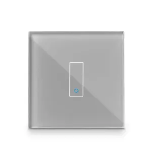 Iotty Smart Switch-frontplade i glas i blank grå med centreret touchområde til vægmontering