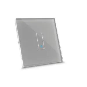 Iotty Smart Switch grå enkeltramme med centralt berøringsområde til vægmonteret intelligent hjemmestyring