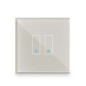 Iotty Smart Switch 2-gangs glasfrontplade med to berøringsfelter til en moderne kontakt til det intelligente hjem