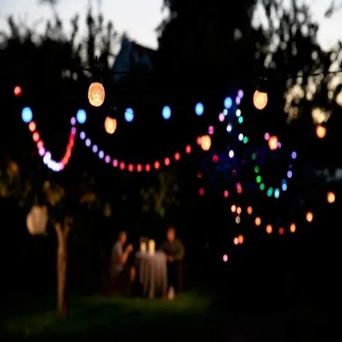 Lite Bulb Moments Smart Light Chain Globe Facets hängande flerfärgad ljusslinga med globlampor för trädgårdskvällar utomhus