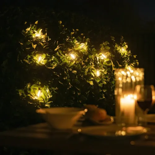 Lite Bulb Moments Vintage Edison smart lyskæde, der lyser varmt hen over frodig udendørs beplantning